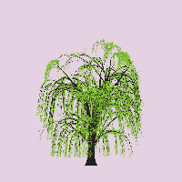 greenshift tree