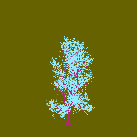 greenshift tree