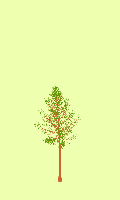 greenshift tree