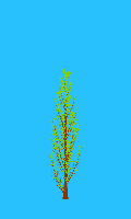 greenshift tree