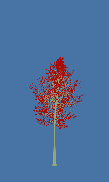 greenshift tree