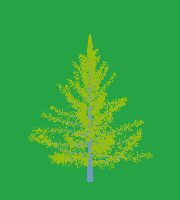 greenshift tree