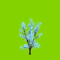 greenshift tree