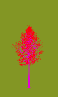 greenshift tree