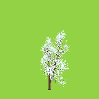 greenshift tree