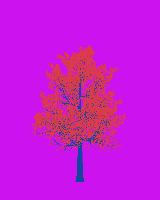 greenshift tree