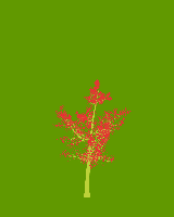 greenshift tree