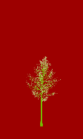 greenshift tree