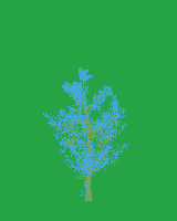 greenshift tree
