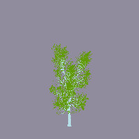 greenshift tree
