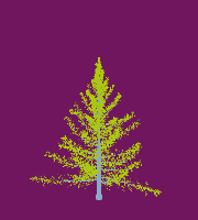 greenshift tree