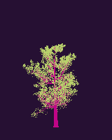 greenshift tree