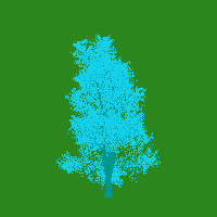 greenshift tree