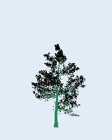 greenshift tree