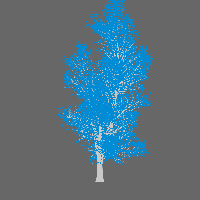 greenshift tree