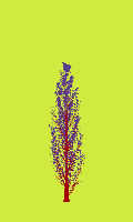 greenshift tree