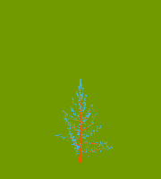 greenshift tree