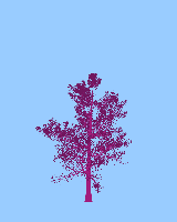 greenshift tree