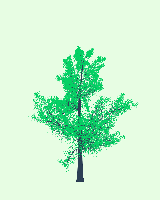 greenshift tree