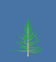 greenshift tree