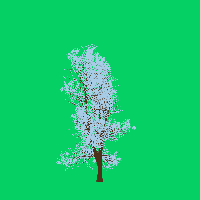 greenshift tree
