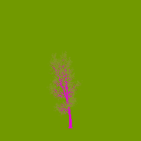 greenshift tree