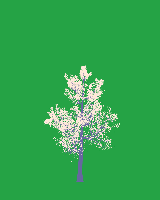 greenshift tree