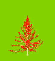 greenshift tree