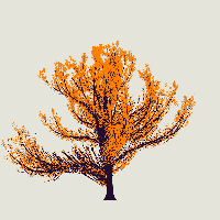 greenshift tree