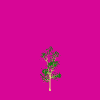 greenshift tree