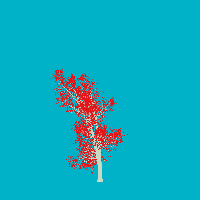 greenshift tree