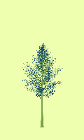 greenshift tree