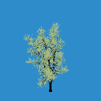 greenshift tree