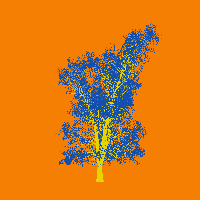 greenshift tree