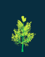 greenshift tree