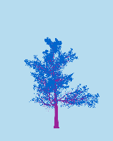 greenshift tree