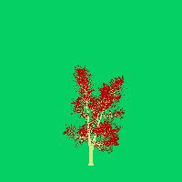greenshift tree