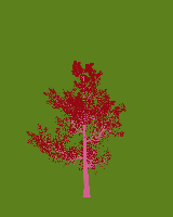 greenshift tree
