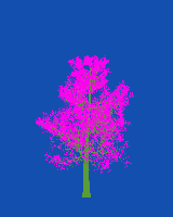 greenshift tree