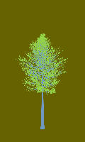 greenshift tree