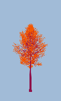 greenshift tree