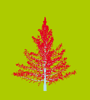 greenshift tree
