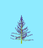 greenshift tree