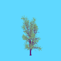 greenshift tree