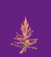 greenshift tree