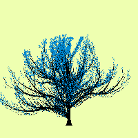 greenshift tree