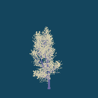 greenshift tree