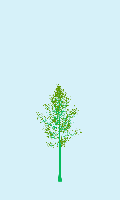 greenshift tree