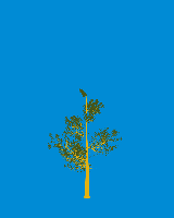 greenshift tree