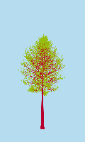 greenshift tree